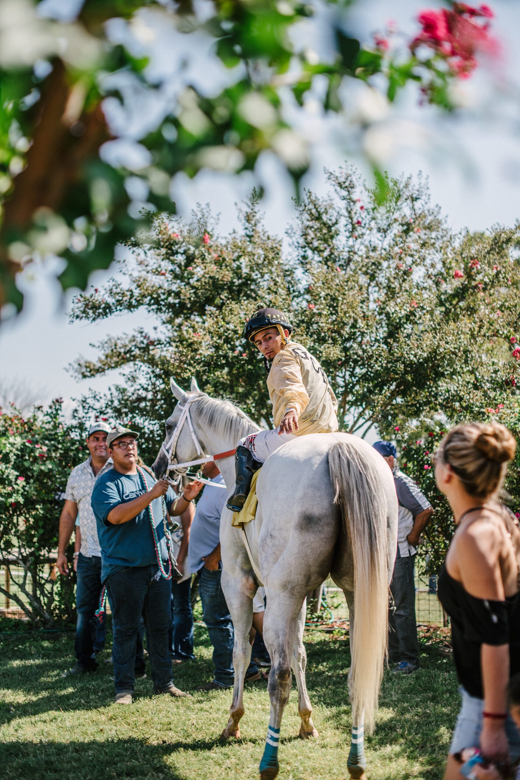 Fredericksburg Texas Online Visit the Texas Hill Country!