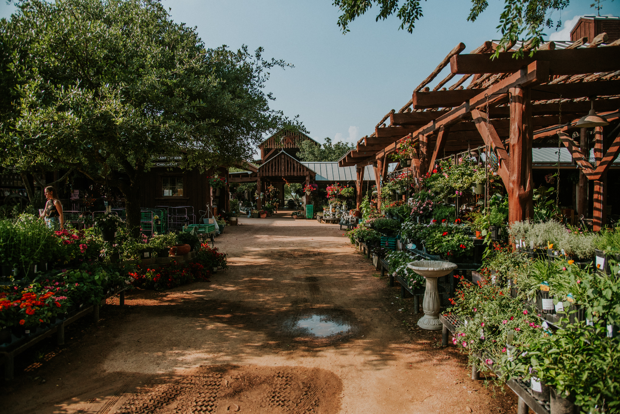 Wine & Wildflower Journey