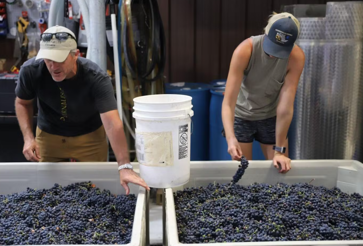 Experience Harvest: An Interactive Tasting - Fredericksburg Texas