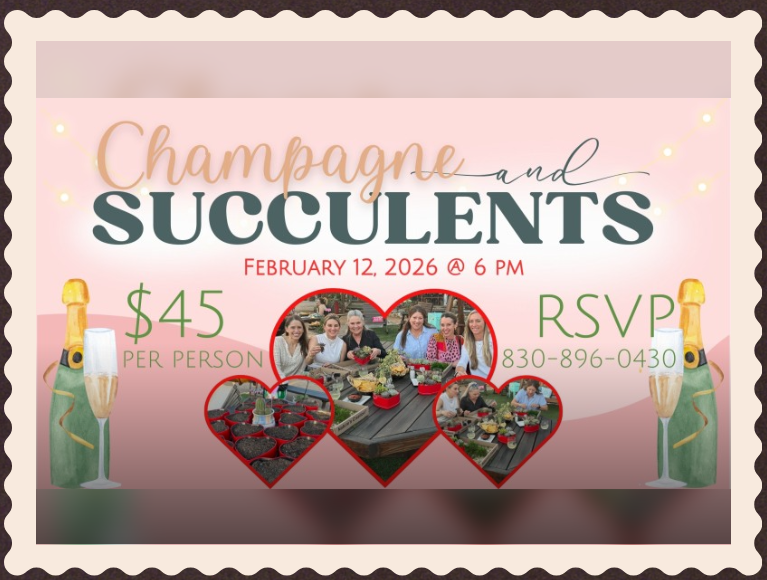 Champagne & Succulents
