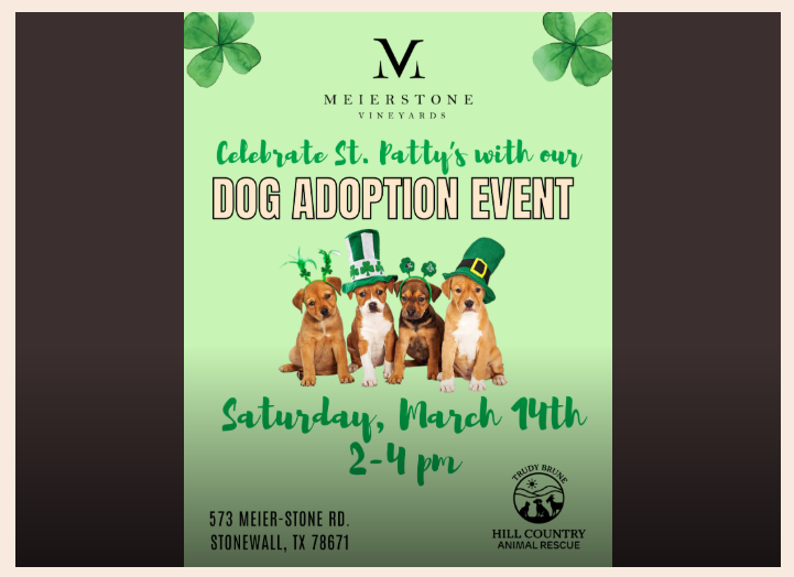 Adoption Event with Hill Country Animal Rescue