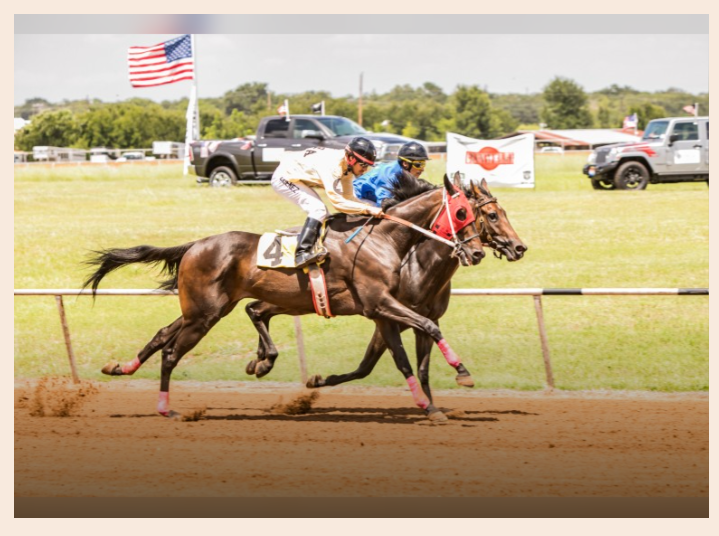 Live Pari-Mutuel Horse Racing