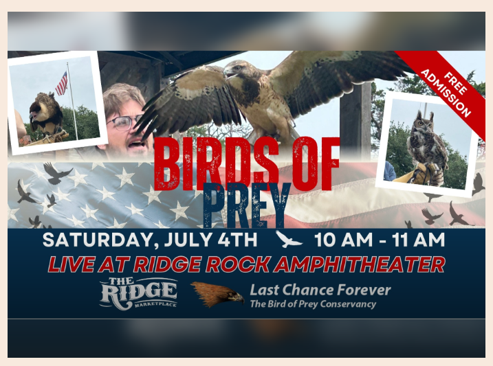 Birds of Prey
