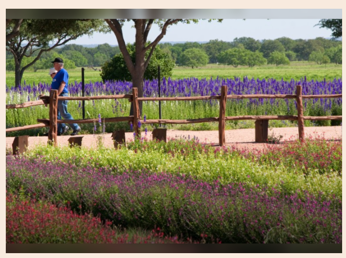 Fall Planting Seminar
