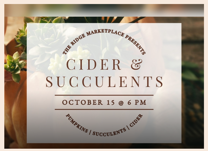 Cider & Succulents